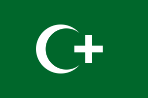 1919 egyptian revolution flag